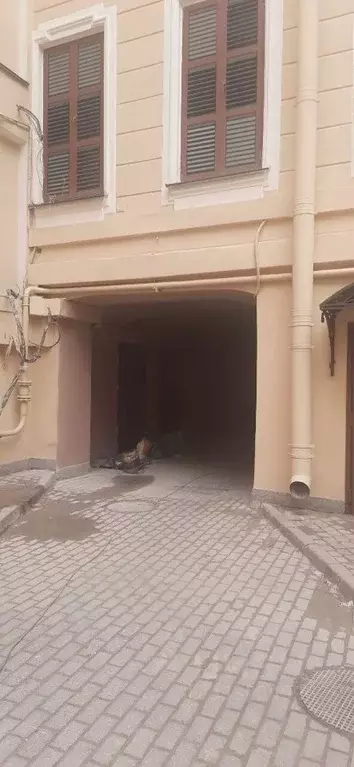Помещение свободного назначения в Санкт-Петербург Невский просп., 45/2 ... - Фото 1