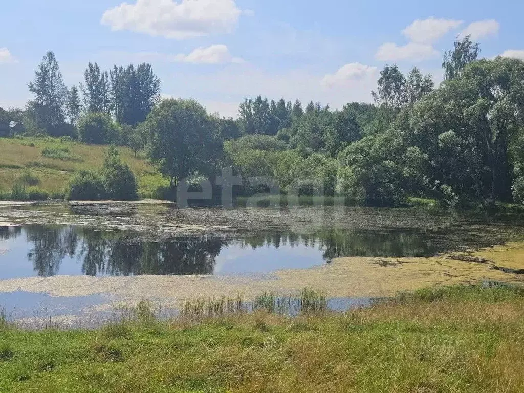 Участок в Псковская область, Струги Красные рп  (15.0 сот.) - Фото 1
