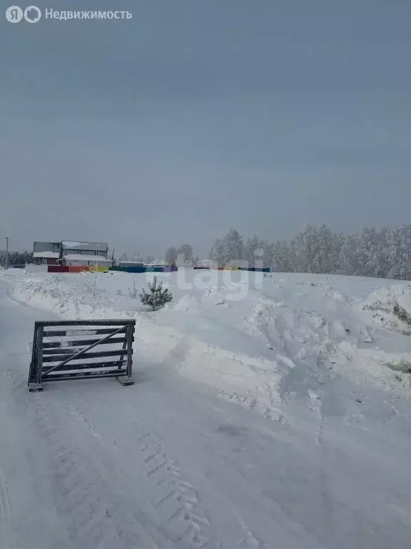 Участок в Озёрное сельское поселение, деревня Сычёво (17.1 м) - Фото 1