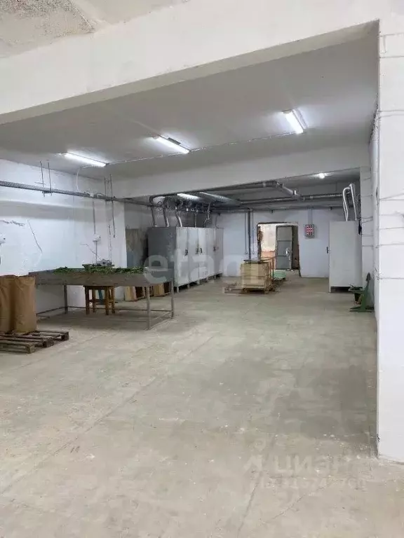 Торговая площадь в Ярославская область, Борисоглебский муниципальный ... - Фото 0