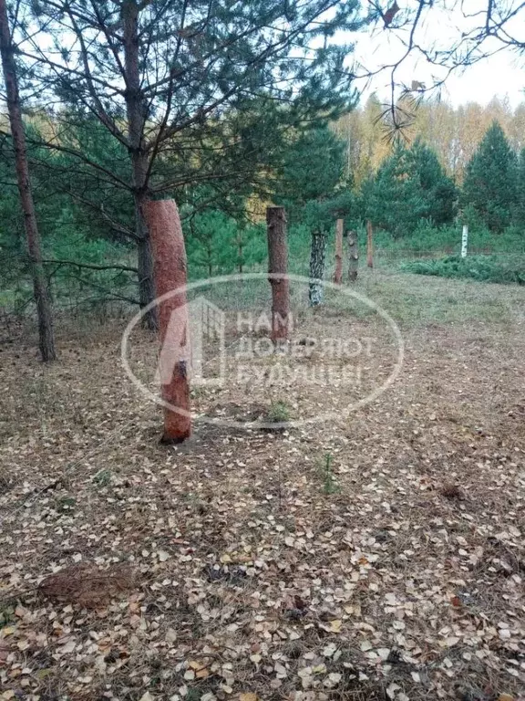 Участок в Пермский край, Чайковский городской округ, д. Марково ул. ... - Фото 0