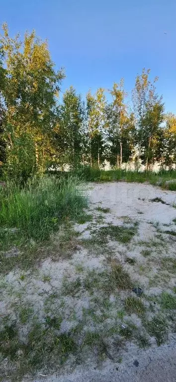 Участок 6 сот. (СНТ, ДНП) - Фото 1