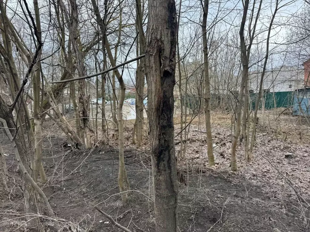 Участок в Московская область, Старая Купавна Богородский городской ... - Фото 1