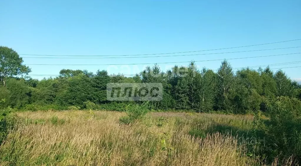 Участок в Сахалинская область, Анивский городской округ, с. Троицкое  ... - Фото 1