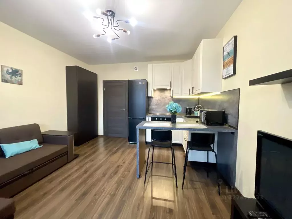 Студия Санкт-Петербург ул. Орбитальная, 5 (23.7 м) - Фото 2