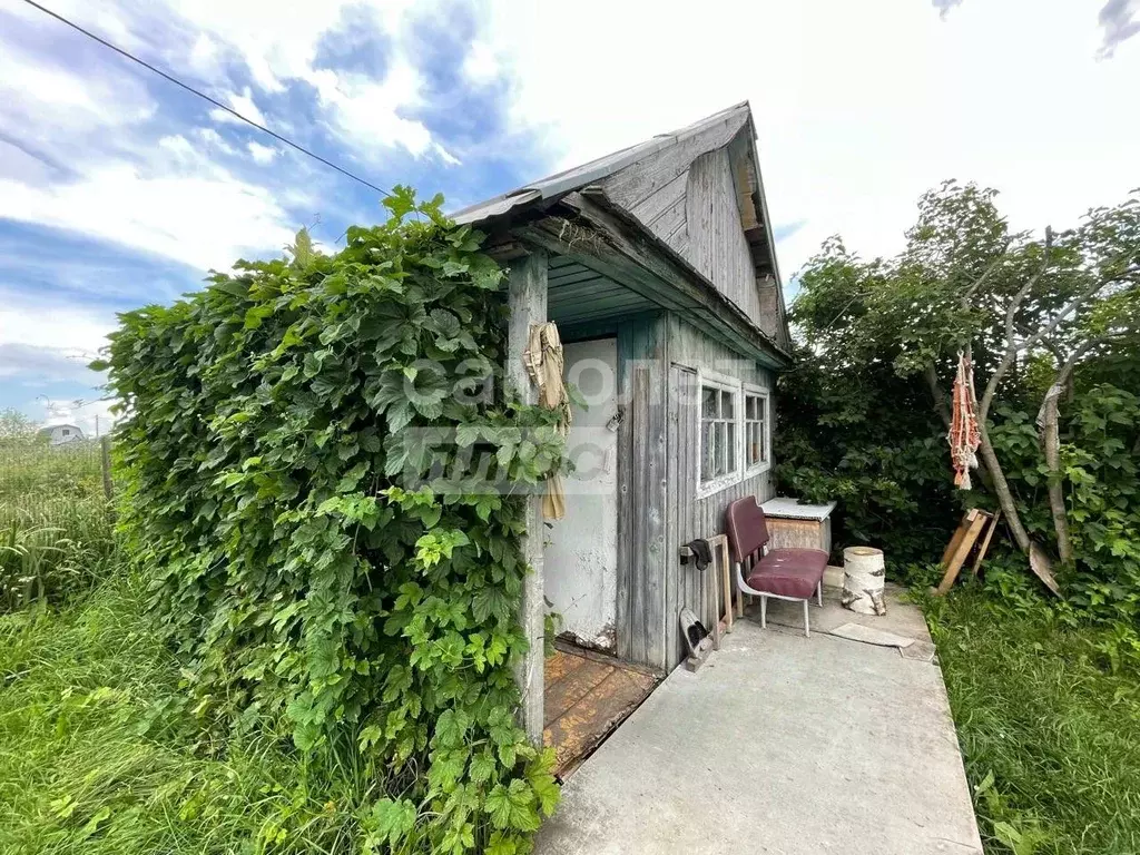 Дом в Вологодская область, пос. Грибково  (20 м) - Фото 2