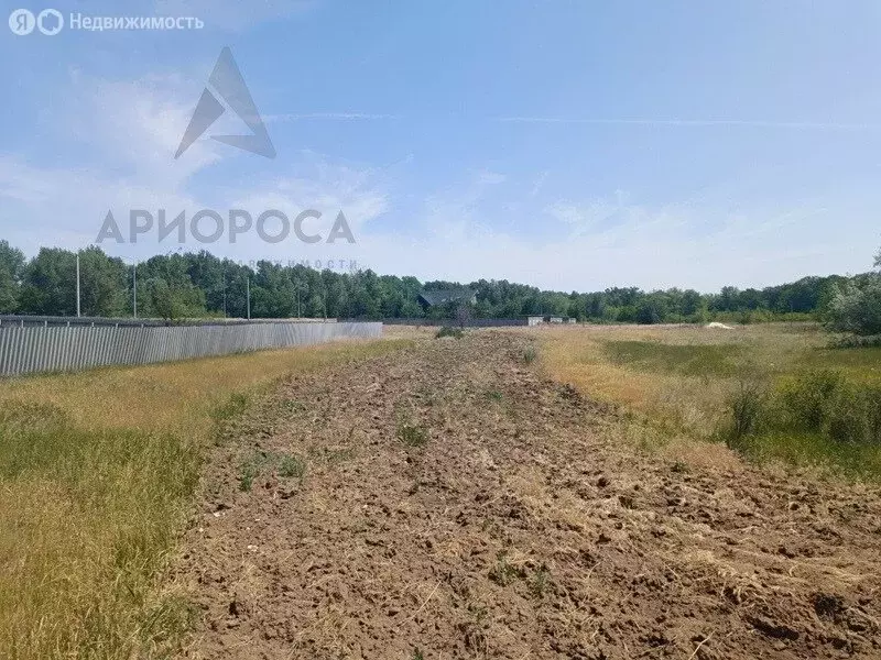 Участок в хутор Ямы, Продольная улица (15 м) - Фото 1
