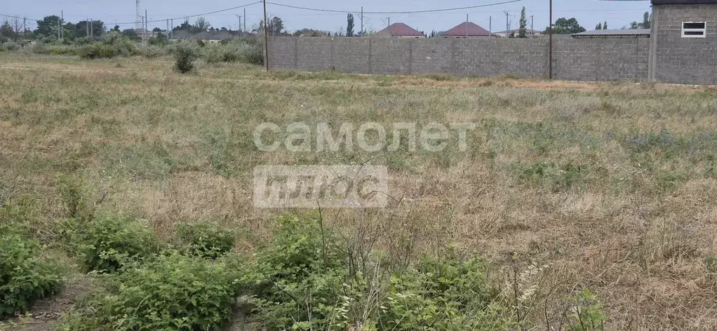 Участок 25 сот. (СНТ, ДНП) - Фото 0