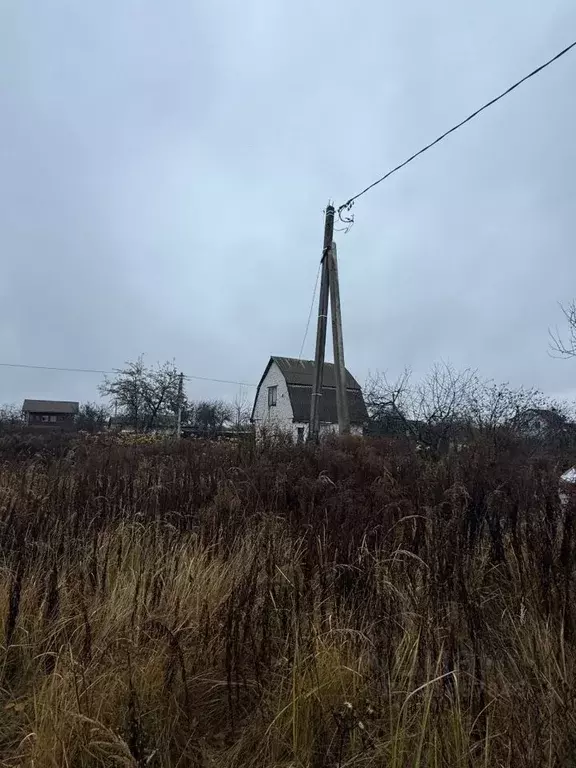 Участок в Брянская область, Брянский район, Снежское с/пос, с. ... - Фото 2