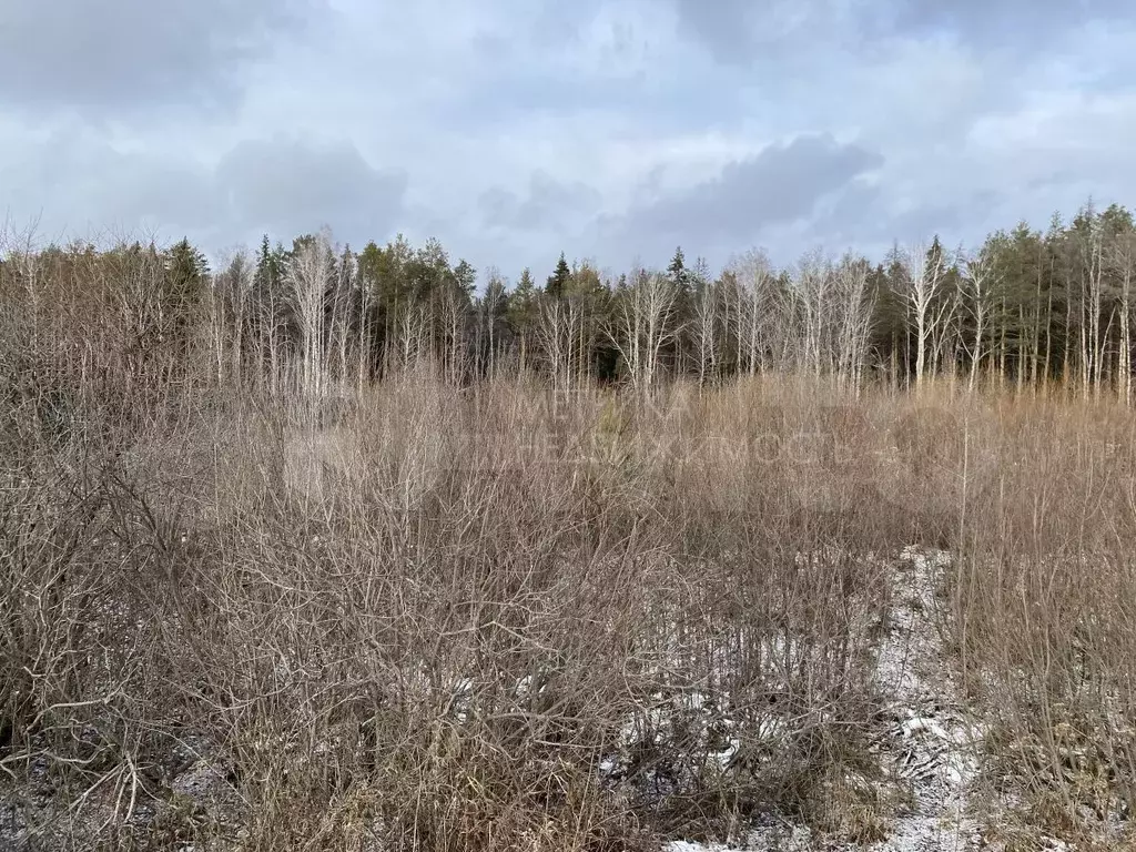 Участок 15 сот. (ИЖС) - Фото 1