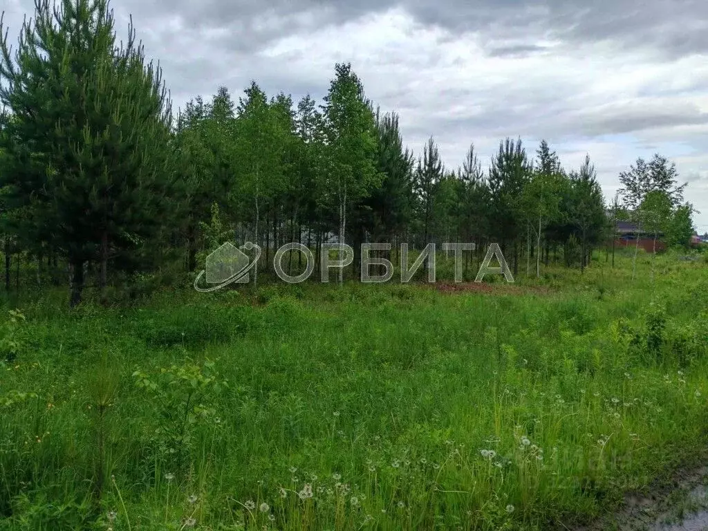 Участок в Тюменская область, Тюменский муниципальный округ, с. Княжево ... - Фото 1