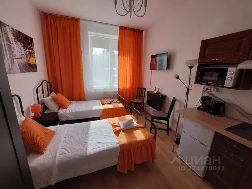 1-к кв. Санкт-Петербург пос. Песочный, Садовая ул. (19.0 м) - Фото 2