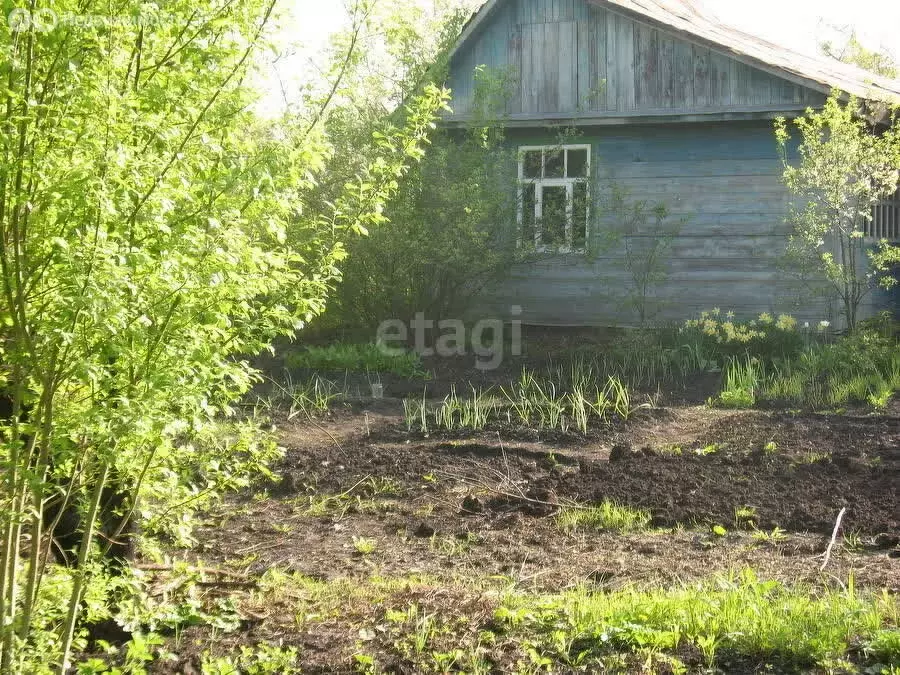 Участок в Пенза, садовое некоммерческое товарищество Казённый Сад (6.8 ... - Фото 0