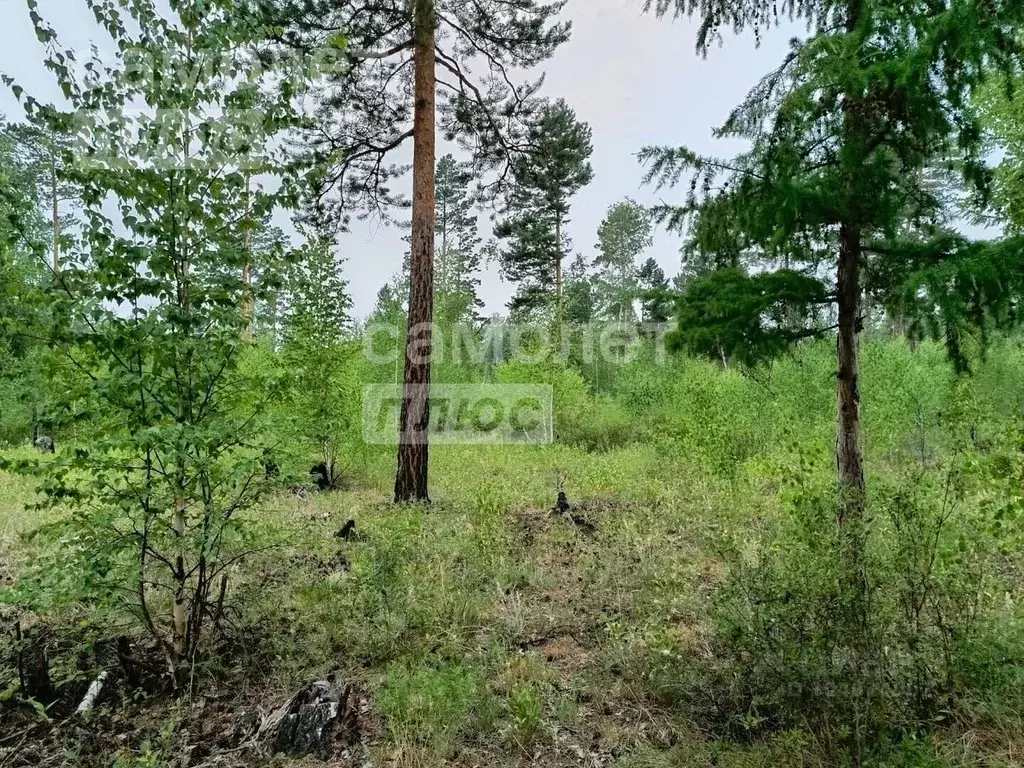 Участок в Забайкальский край, Читинский район, с. Смоленка  (10.0 ... - Фото 1