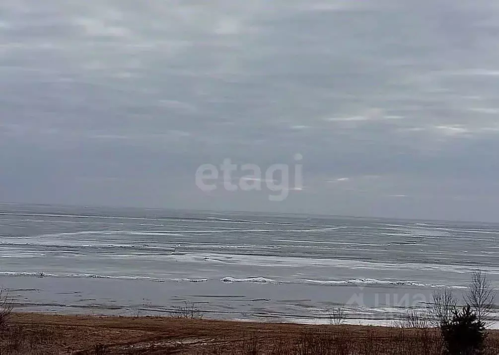 Дом в Ярославская область, Пошехонский муниципальный округ, ... - Фото 1