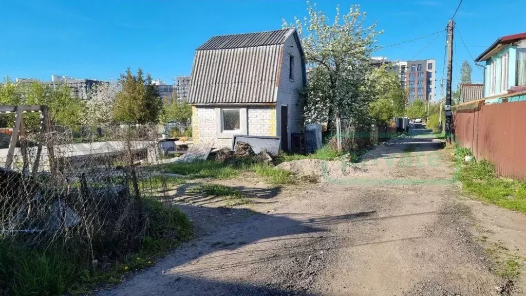 Участок в Калининградская область, Калининград Дружба-Девау СТ, пер. ... - Фото 1