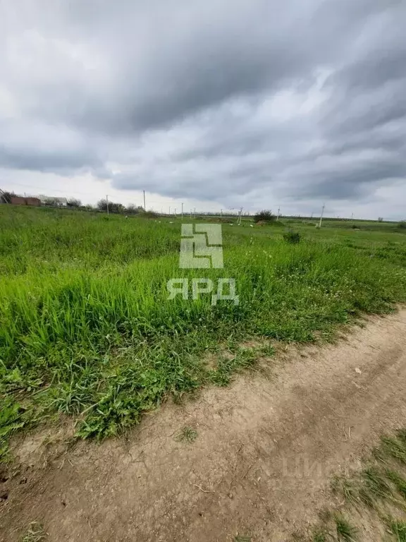 Участок в Ростовская область, Неклиновский район, с. Вареновка ... - Фото 2