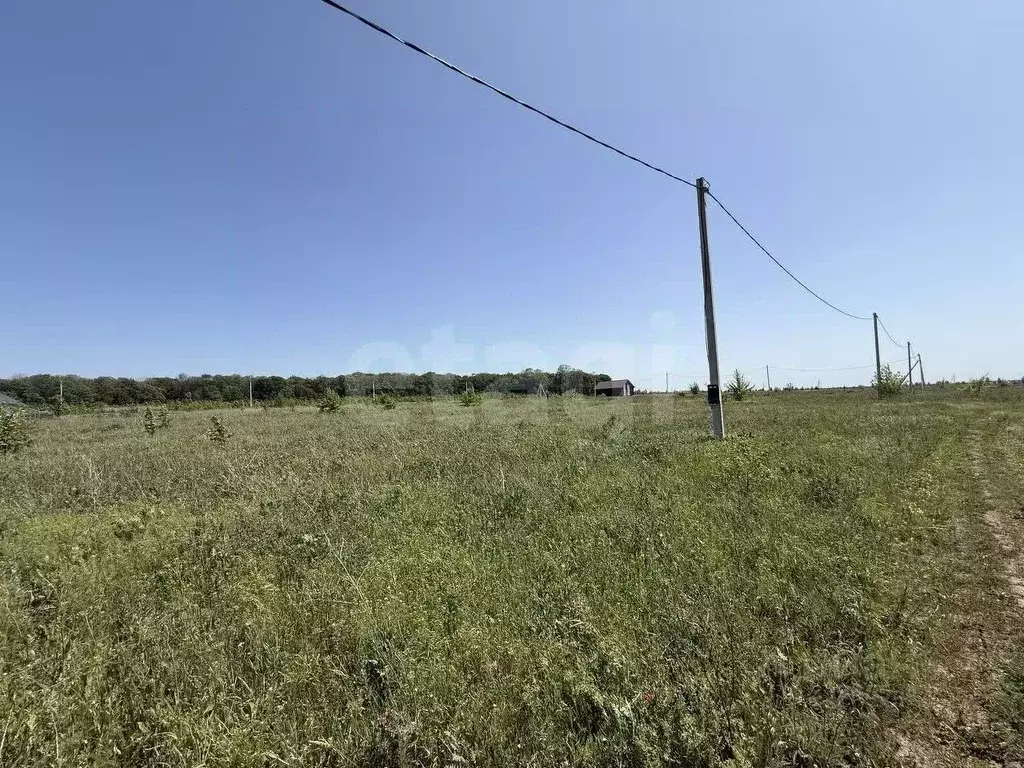 Участок в Белгородская область, Белгород ул. Ивана Кондратенко (16.0 ... - Фото 1