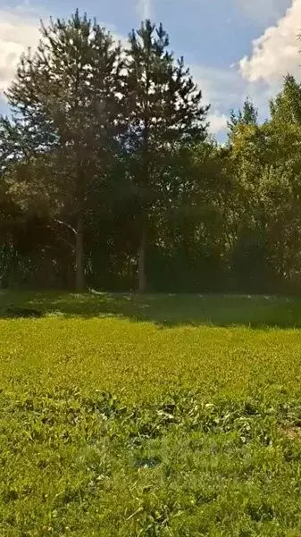 Участок в Московская область, Щелково городской округ, д. Маврино  ... - Фото 1