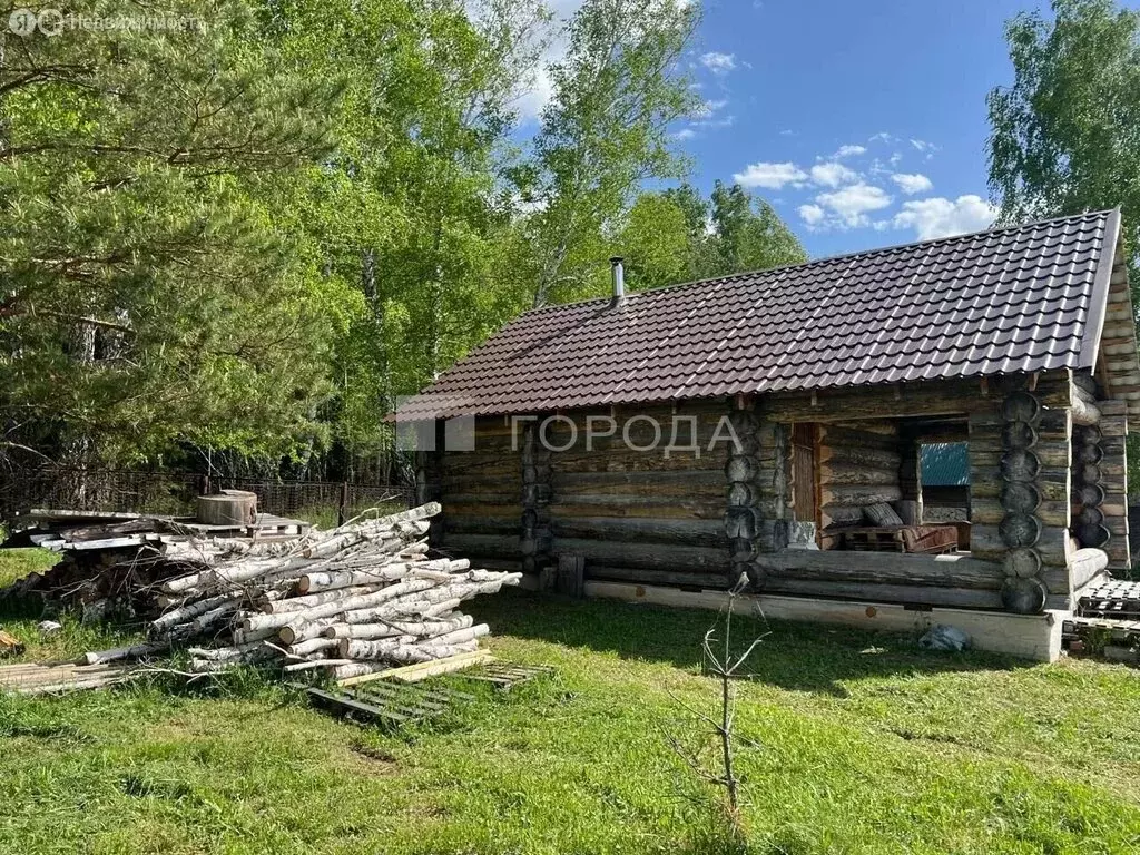 Участок в Колыванский район, садовое товарищество Озёрное, Лесная ... - Фото 0