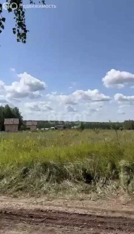 Участок в Венёвский район, муниципальное образование Центральное, село ... - Фото 1