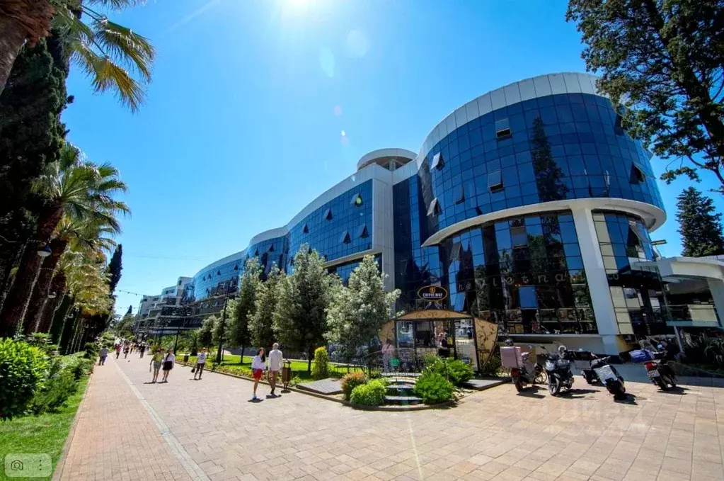 Помещение свободного назначения в Краснодарский край, Сочи Центральный ... - Фото 1