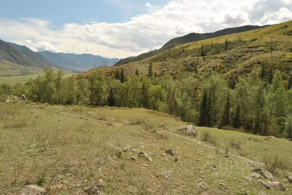 Участок в Алтай, Онгудайский район, с. Купчегень Средняя ул. (3.6 ... - Фото 1