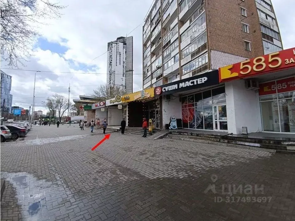Торговая площадь в Свердловская область, Екатеринбург ул. Челюскинцев, ... - Фото 1