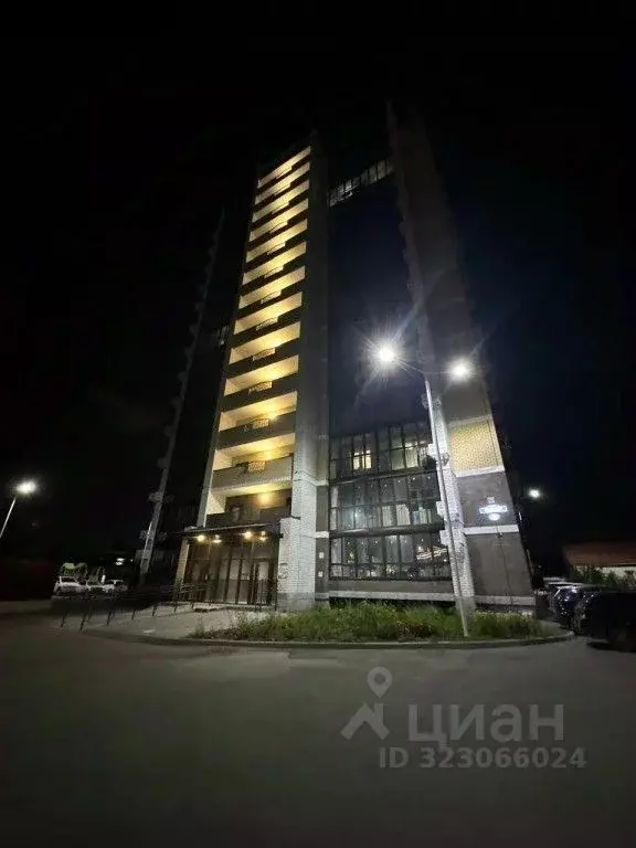 1-к кв. Амурская область, Благовещенск Кузнечная ул., 84 (28.0 м) - Фото 2