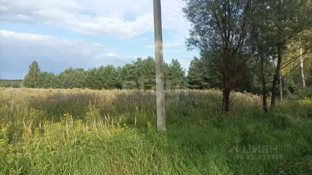 Участок в Калужская область, Мосальский район, Раменский с/пос, д. ... - Фото 2