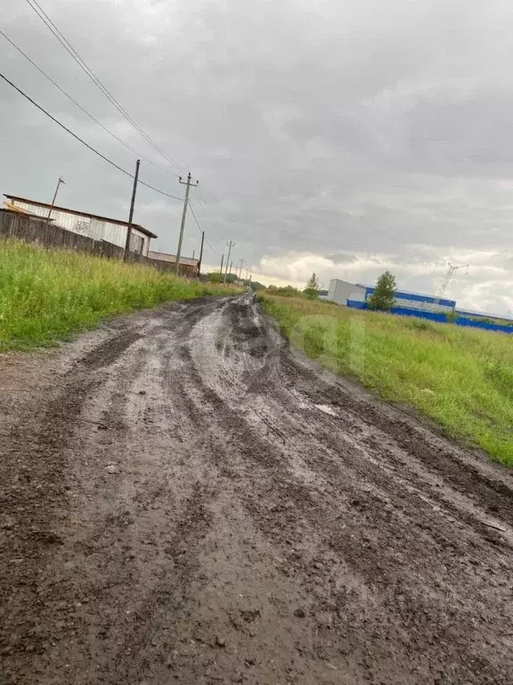 Участок в Красноярский край, Красноярск городской округ, Березовка ... - Фото 1