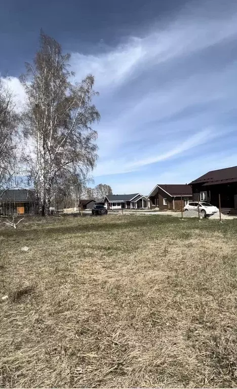 Участок в Новосибирская область, Новосибирский район, Сибирские ... - Фото 0