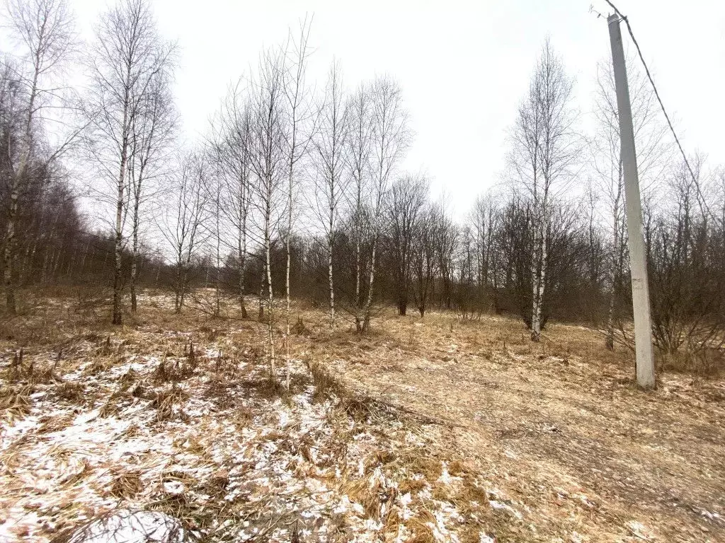 Продается участок в ДНП Марьина Роща - Фото 2