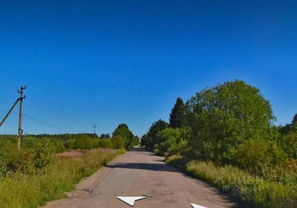 Участок в Ленинградская область, Приозерский район, Ромашкинское ... - Фото 2