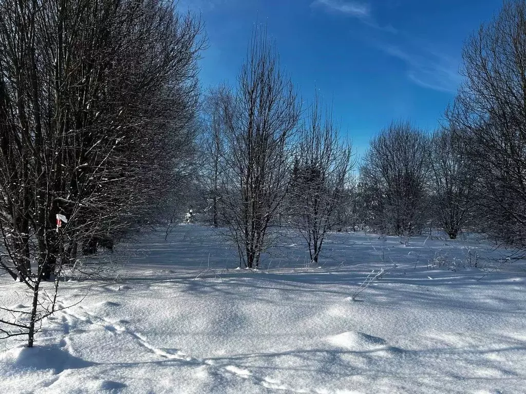 Участок в Московская область, Ступино городской округ, с. Каменка ул. ... - Фото 2