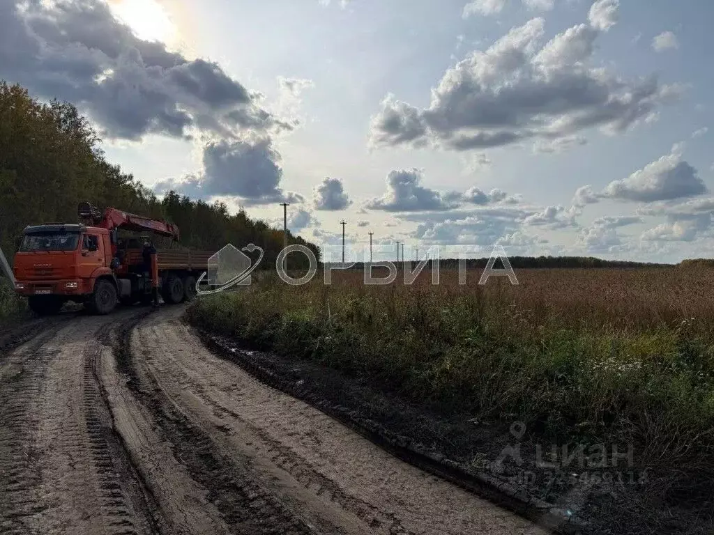 Участок в Тюменская область, Тюменский муниципальный округ, с. ... - Фото 2