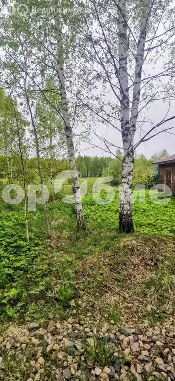 Участок в Талдомский городской округ, деревня Лебзино (15 м) - Фото 1