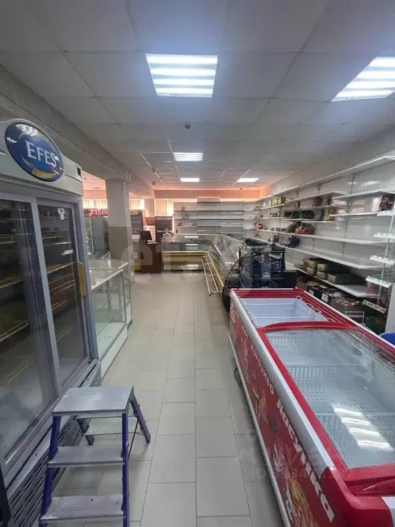 Торговая площадь в Крым, Евпатория городской округ, Заозерное пгт ул. ... - Фото 1