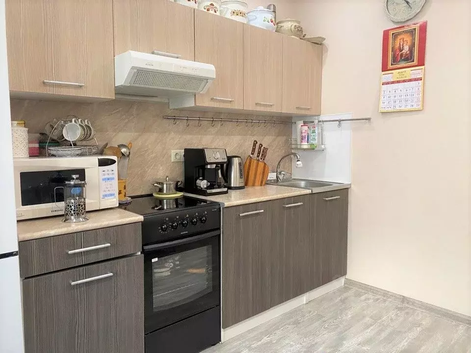 1-к кв. Московская область, Ногинск Богородский городской округ, ул. ... - Фото 2