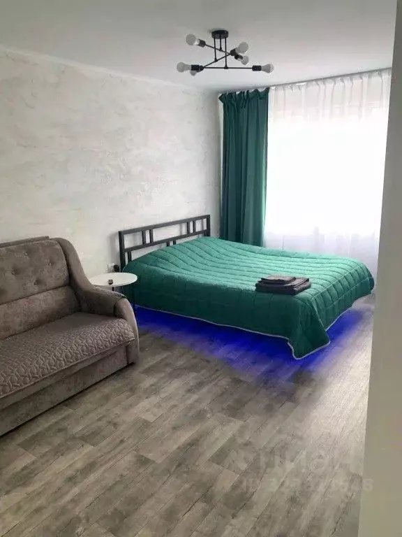 1-к кв. Алтайский край, Рубцовск Алейский пер., 41 (31.0 м) - Фото 1