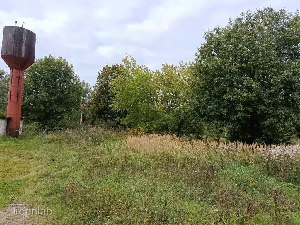 Участок в Ярославская область, Ростовский муниципальный округ, с. ... - Фото 2