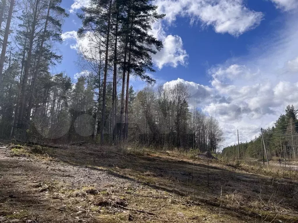 Участок 11,4 сот. (СНТ, ДНП) - Фото 0
