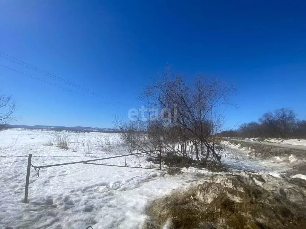 Участок в Сахалинская область, Анивский городской округ, с. ... - Фото 1