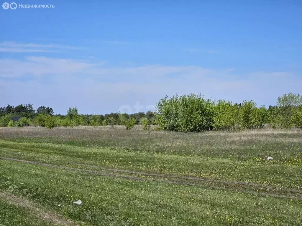 Участок в Рамонский район, Айдаровское сельское поселение, садовые ... - Фото 2
