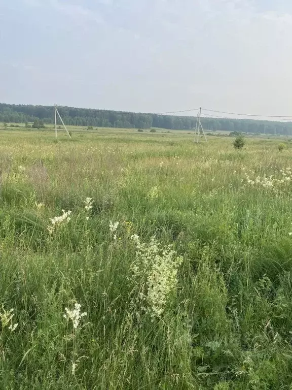 Участок в Новосибирская область, Тогучин ул. Гербера (750.0 сот.) - Фото 1