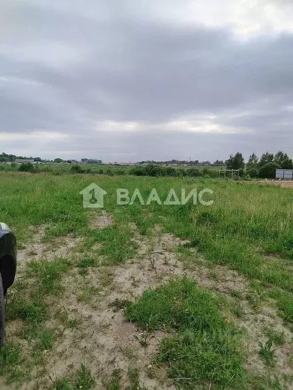 Участок в Ивановская область, Ивановский район, Беляницкое с/пос, д. ... - Фото 1