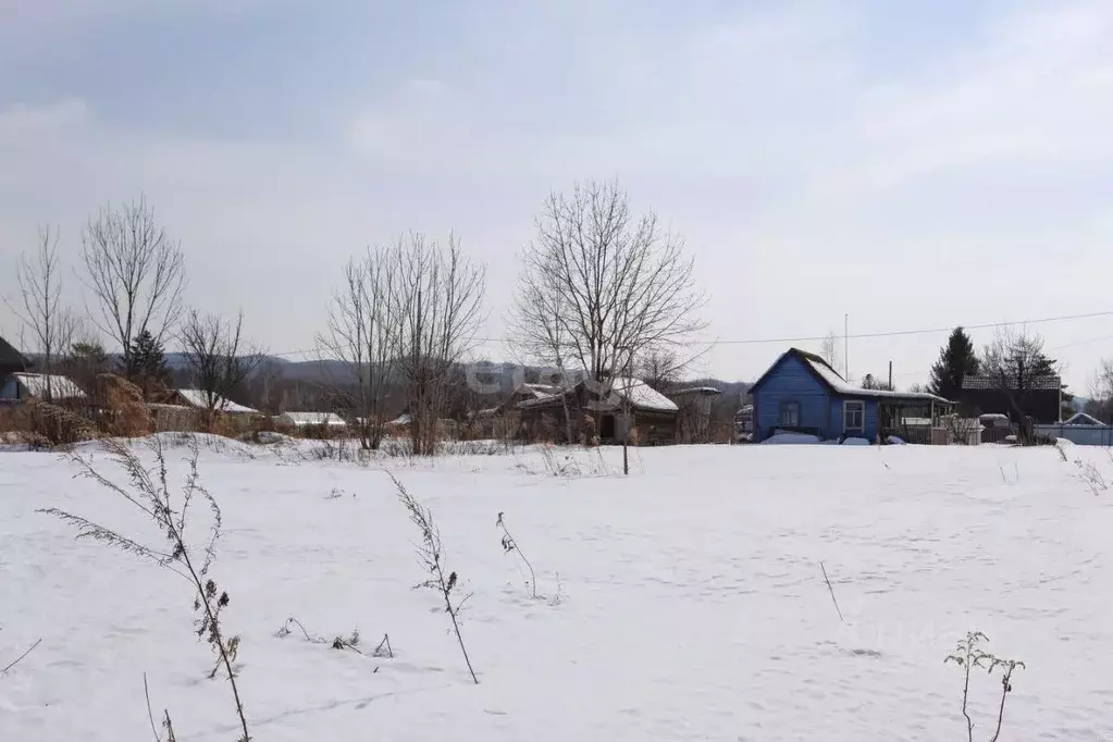 Участок в Хабаровский край, Хабаровский район, Автомобилист СНТ ул. ... - Фото 1