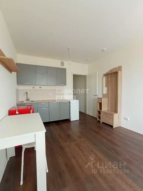 Студия Санкт-Петербург дор. Муринская, 29 (22.0 м) - Фото 1