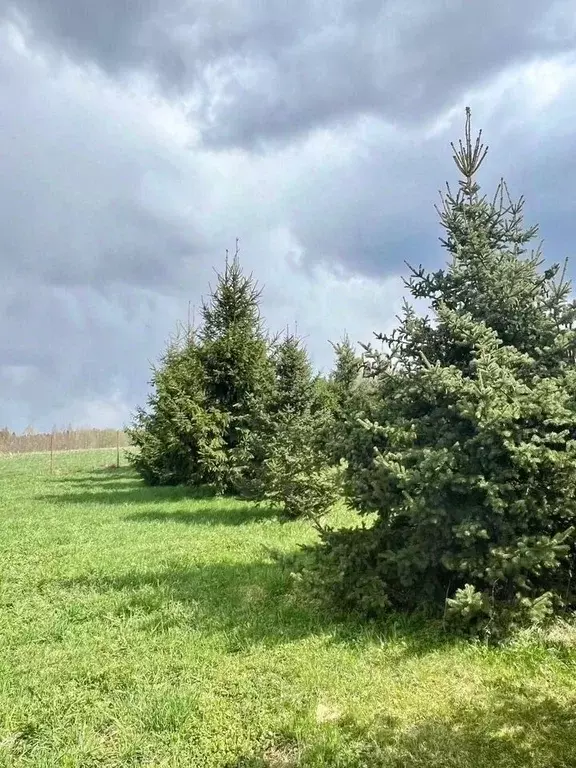 Дом в Ленинградская область, Тосненское городское поселение, д. ... - Фото 2