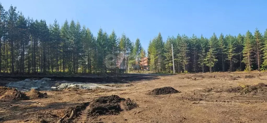 Участок в Новосибирская область, Бердск Раздольный мкр,  (8.8 сот.) - Фото 1